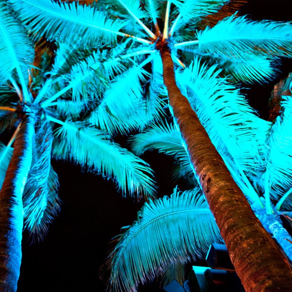 Trades and Offers Welcome!!!!!!